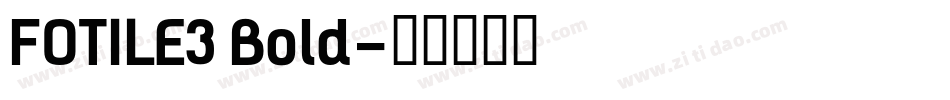 FOTILE3 Bold字体转换